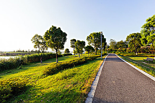 道路