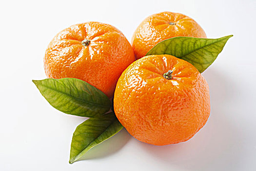 三个,柑桔,橘子,叶子