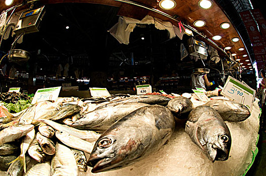 西班牙,巴塞罗那,鱼,出售,市场