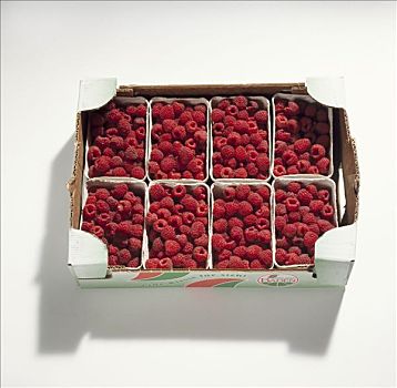树莓,板条箱