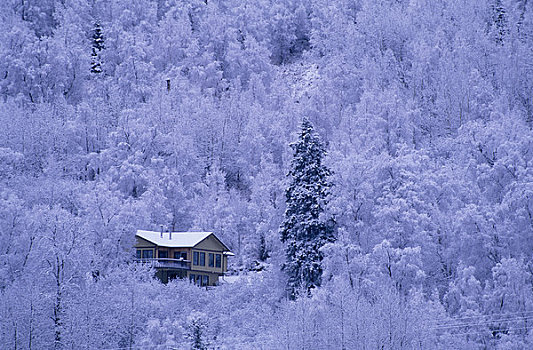 家,山坡,树,冬天