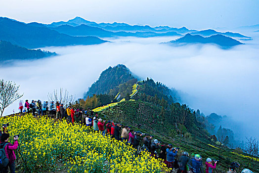 云海,山川,乡村,清晨,梦幻