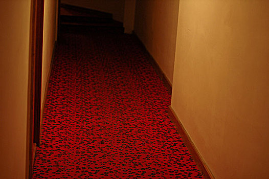 空,走廊,酒店,红色,地毯,橙色,墙壁