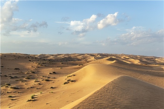 沙漠,阿曼