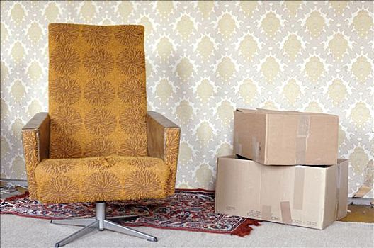 扶手椅,移动,纸板,萨克森,德国