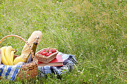 野餐篮,水果,葡萄酒,面包,草地,书本,草莓,旁白
