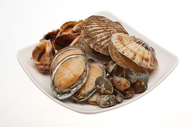 海洋生物圖片