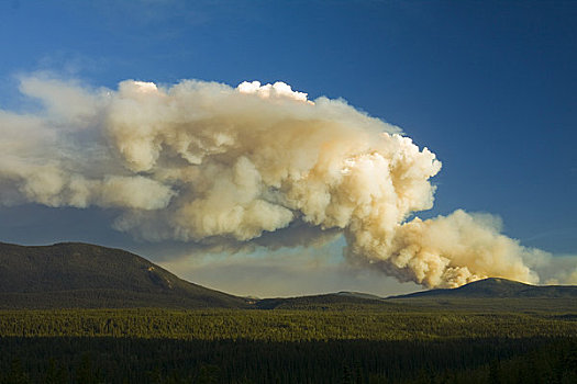 野外,森林火灾,山峦,阿拉斯加公路,东方,湖,育空地区,加拿大