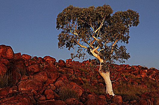 灵异,大理石,北领地州,澳大利亚