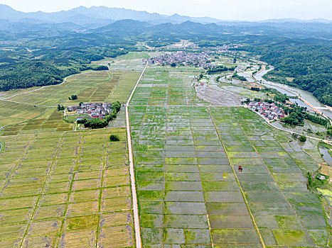 江西金溪,山村田园美