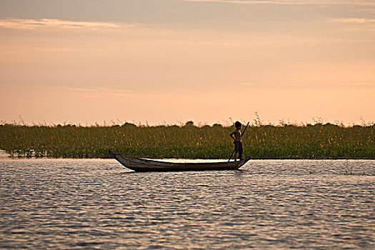 男孩,渔船,漂浮,乡村,交谈,地区,收获,柬埔寨