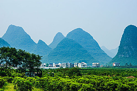 桂林田园风光