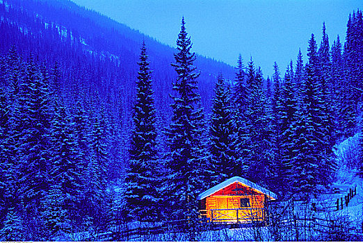 小屋,冬天,碧玉国家公园,艾伯塔省,加拿大