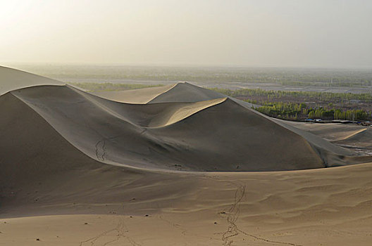 沙丘,驼队,痕迹,戈壁沙漠,正面,绿色,绿洲,敦煌,丝绸之路,甘肃,中国,亚洲