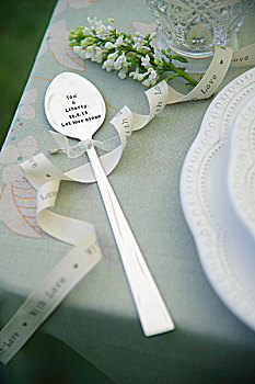 装饰,勺子,嫩枝,白花,桌上