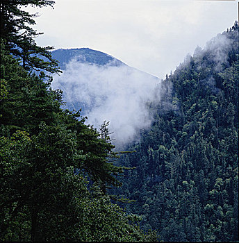 云南,香格里拉,虎跳峡,明永冰川