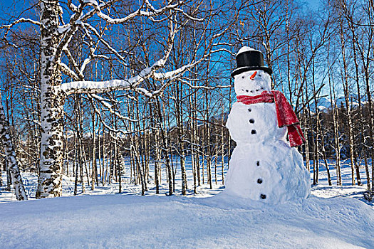 雪人,戴着,红色,围巾,黑色上衣,帽子,公园,积雪,山,蓝天,背景,安克里奇,阿拉斯加,美国