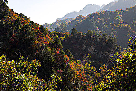 秦岭秋色