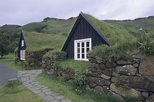 冰岛,南海岸,乡村,博物馆,老,房子