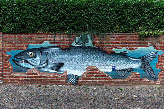 鱼,涂鸦,砖墙,下萨克森,德国,欧洲