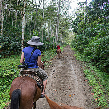 两个女孩,骑马,土路,庄园,洪都拉斯