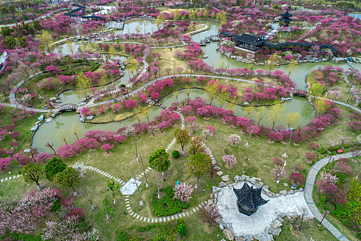 江苏省盐城市大丰区梅花湾景区