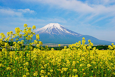 富士山图片