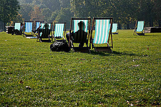 日光浴,享受,秋天,阳光,绿色公园,伦敦,英国
