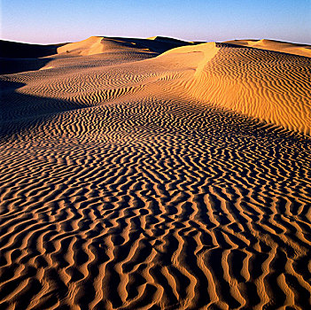 突尼斯,撒哈拉沙漠,沙,沙漠,东部大沙漠,沙丘