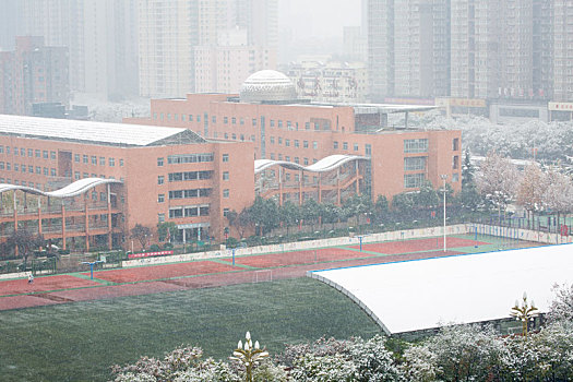 小区雪景