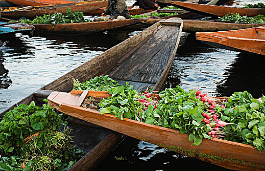 蔬菜,船,斯利那加,查谟-克什米尔邦,印度