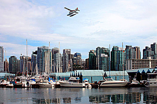 码头,飞机,飞跃,市区,温哥华,不列颠哥伦比亚省,加拿大