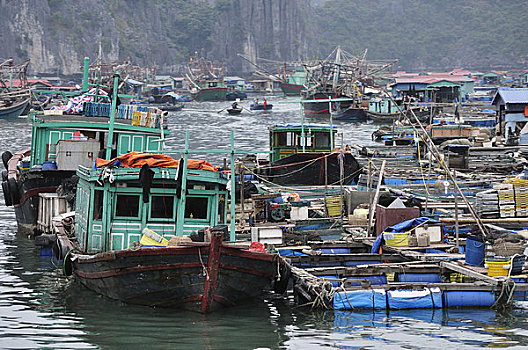 漂浮,乡村,港口,岛屿,越南