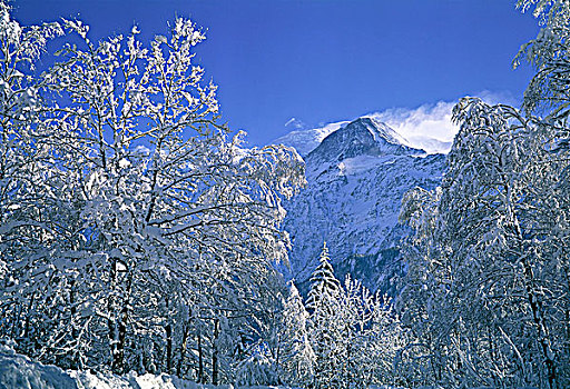 法国,上萨瓦省,勃朗峰,风景,冬天
