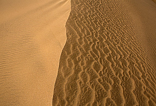 荒漠沙丘,大卡纳利岛