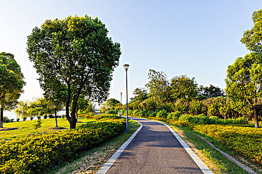 道路