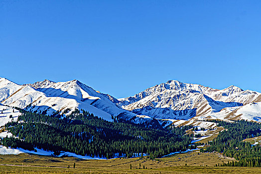 那拉提牧场的草原与雪山