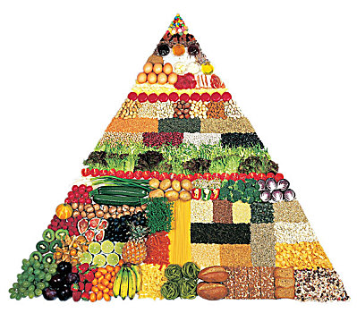 彩色,营养,金字塔,白色背景
