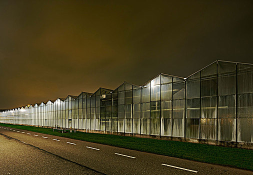 温室,夜晚,区域,专注,荷兰