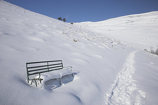 英格兰,伍斯特郡,山,积雪,长椅,公用,小路