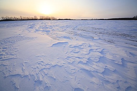 雪原