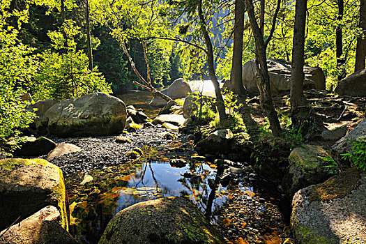 河流,哈尔茨山,国家公园,下萨克森,德国