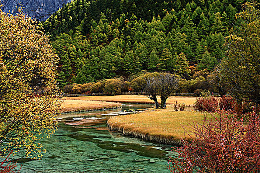 四川省亚丁景区草地