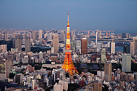 东京塔,城市天际线,景色,塔,东京,日本