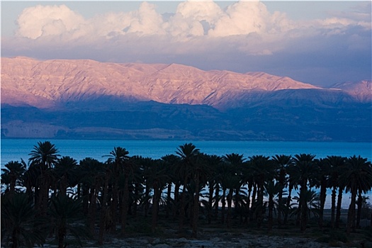风景,死海,以色列