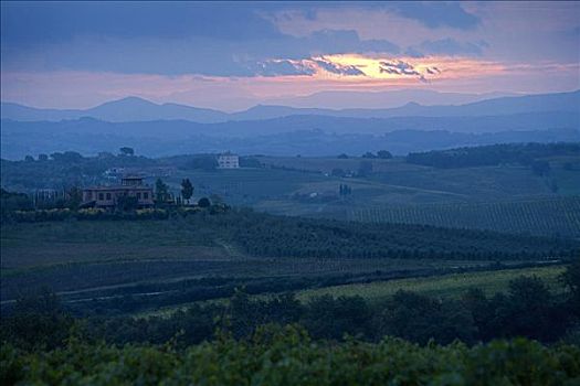 日出,靠近,蒙蒂普尔查诺红葡萄酒,托斯卡纳,意大利