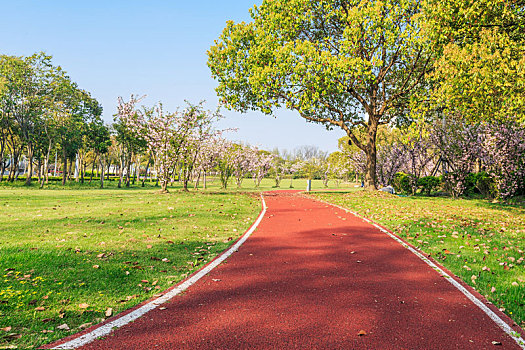 上海交通大学闵行校区草坪间的红色塑胶步道