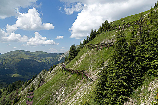 雪崩,防护,陡峭,斜坡,克莱恩瓦泽泰,奥地利,欧洲