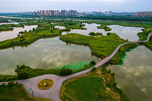 咸阳滨河湿地公园图片