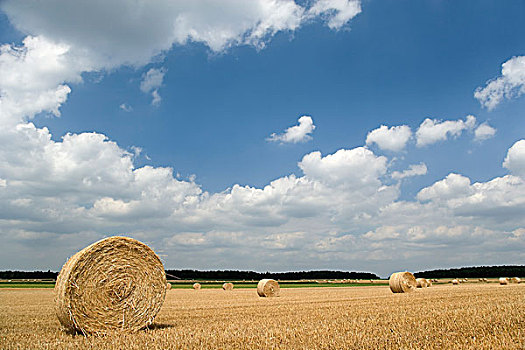 地点,稻草捆,蓝天,白云,下萨克森,德国,欧洲